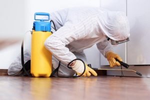 Jasa Pengendali Hama