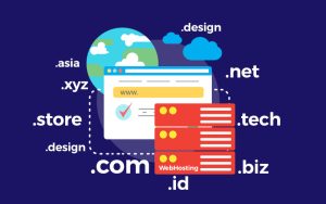perbedaan hosting dan domain