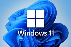 Windows 11